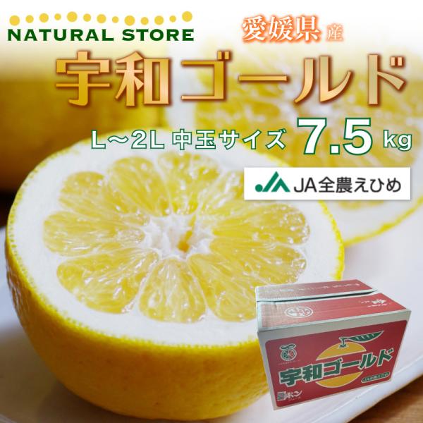 夏 文旦の人気商品 通販 価格比較 価格 Com