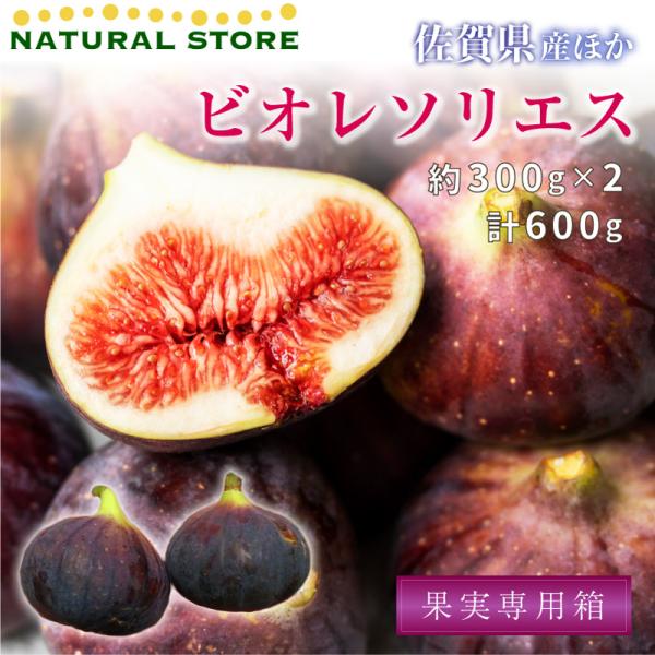 いちじくの通販 価格比較 価格 Com