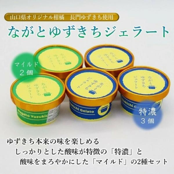長門ゆずきち ジェラート5個セット 長門ゆずきち 特濃 マイルド ゆずきちジェラート アイス ギフト 贈り物 センザキッチン