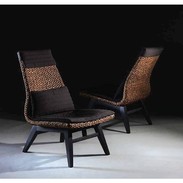 nCobN \t@[ i EH[^[qVX 1P\t@ l| p[\i `FA o AWAƋ i` HC-23  PERFORMAX 󒍐Yi