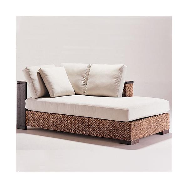 \t@ JE` fCxbh i EH[^[qVX AWA Ƌ R[i[  PERFORMAX _ hsf-21-db 󒍐Yi