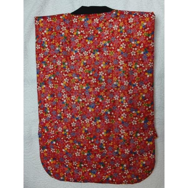 Ȃ˂@qp imDWPOjy閧̃P~SHOWŏЉ܂z