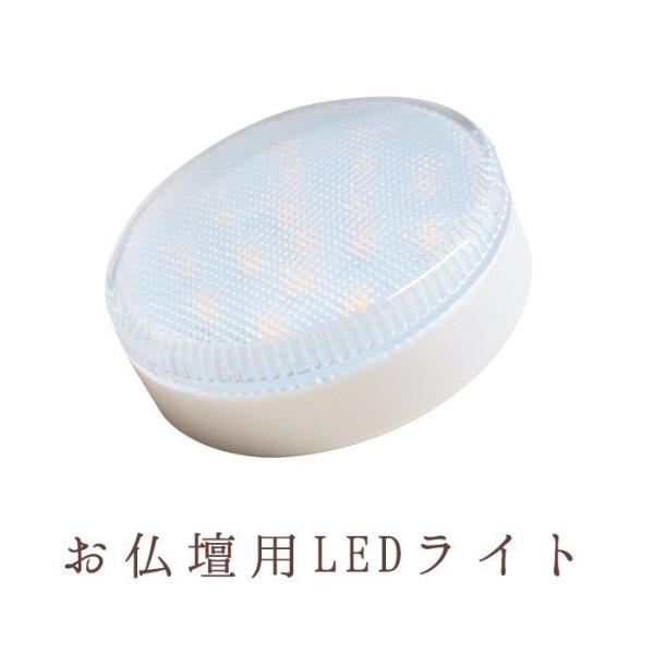 pLEDCg ΉiFvVX17 IBG15 se15 se17 G[[12CxX43