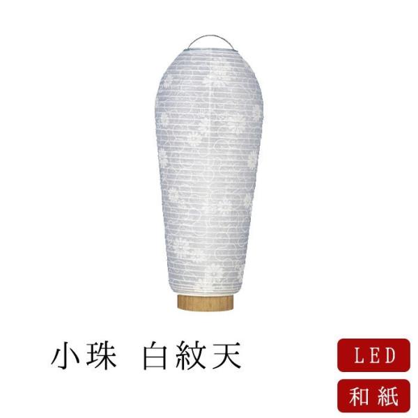 ~ ~ ~ V~ _  V LEDCgZbg n n~