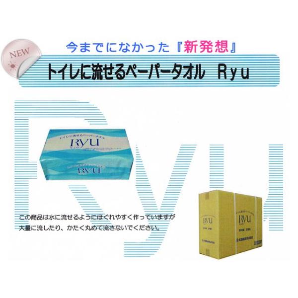 ɗy[p[^I 卂 Ryu TCY 200w30pbN