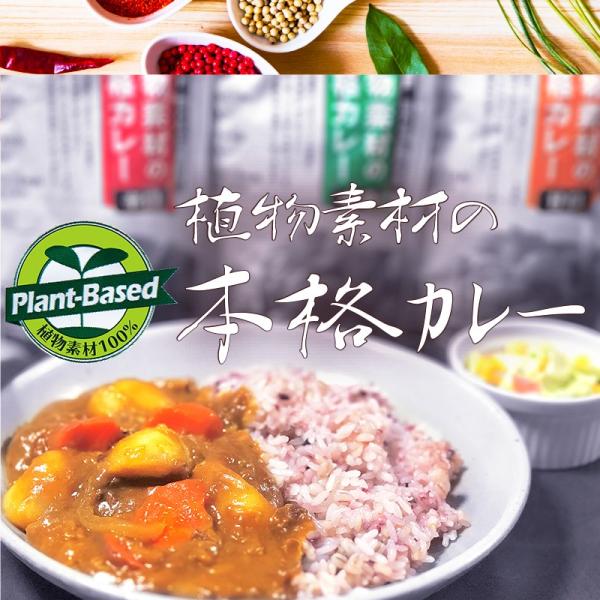 Afނ̖{iJ[//hit[Nj / eʁF135g×ǂR