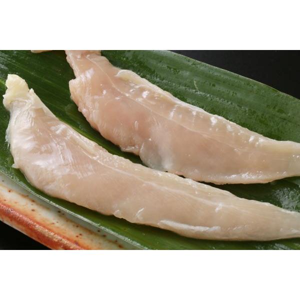  { Nx Ɩp  n ÉR[` TT~ 12kg ݑ