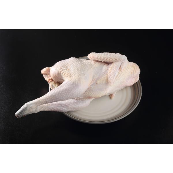 高級食材である純系名古屋コーチンの丸鶏（中抜丸）になります。朝引きにこだわった新鮮な丸鶏をご用意しました。最高の贅沢を演出する最高埜素材。高級地鶏を1羽まるごとご自宅まで。パーティーやクリスマスにどうぞ！地元高級料亭がこだわって使用する純系...