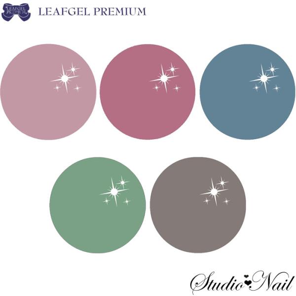 リーフジェル プレミアム LEAFGEL PREMIUM カラージェル ヴィンテージシアーシリーズ 2 各4g :y21021202:スタジオネイル - 通販 - Yahoo!ショッピング リーフジェル プレミアム LEAFGEL PREMIUM カラージェル ヴィンテージシアーシリーズ 2 各4g :y21021202:スタジオネイル - 通販 - Yahoo!ショッピング