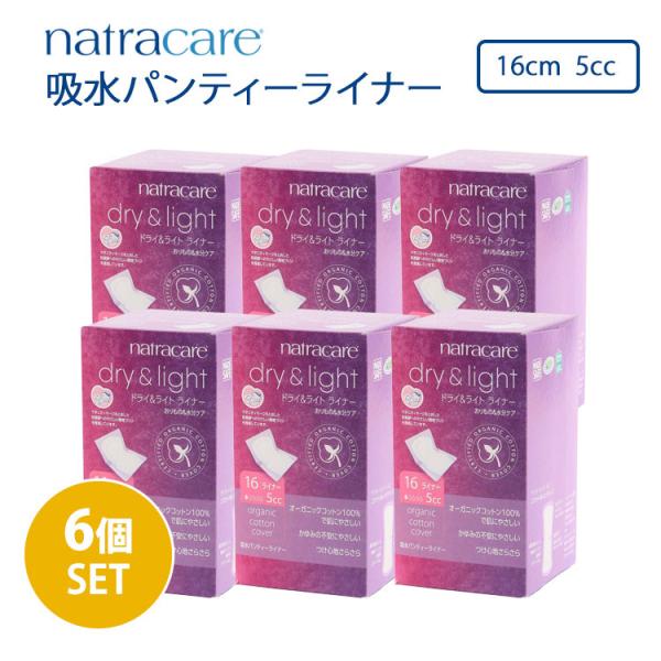 6Zbg igPA zpeB[Ci[  PA A pbh 16 HȂ 16cm 5cc (DM)(ST) CO×