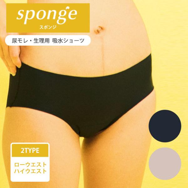 sponge X|W zV[c A  z ARV[c Tj^[V[c [֖(SIB) CO× 
