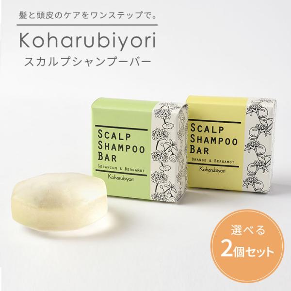 Iׂ2Zbg Koharubiyori XJvVv[o[ 100g XJv Vv[ Ō`(SIB) CO×