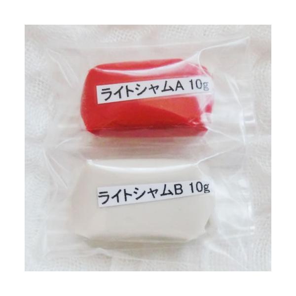 Xg[\鐷Sy{hEڒ܁yfRVXO[ECgVzȒPDecoA[gNCpe20g(10g+10g)