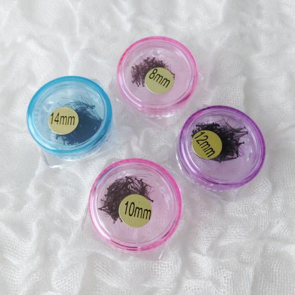 ボリュームラッシュ10ケース