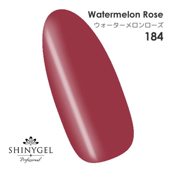 （メール便○）SHINYGEL Professional：カラージェル 184／ウォーターメロンローズ 4g （シャイニージェルプロフェッショナル）（JNA検定対応）