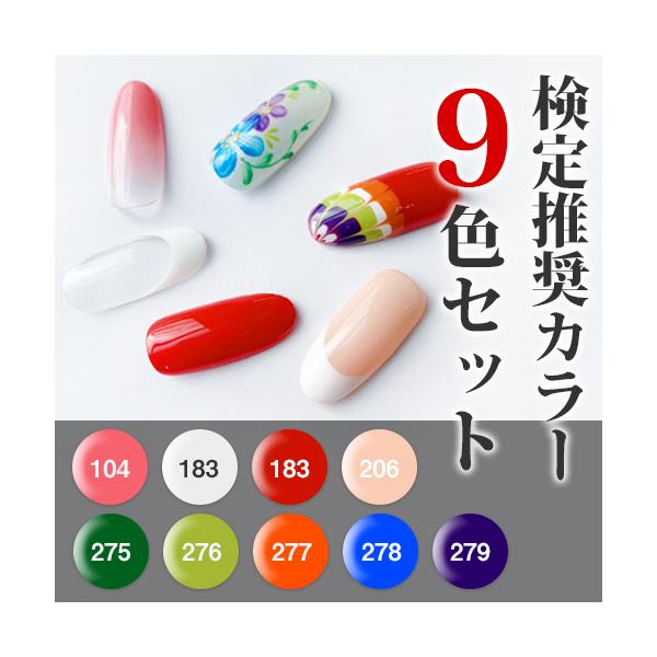 shinygel 検定推奨　高発色ジェル　　9色セット 検定推奨カラー9色セット）SHINYGEL Professional：JNAジェル