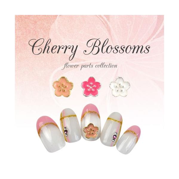 nailkoubouu_zirconia-