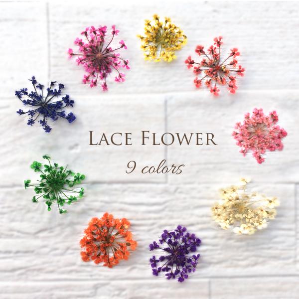 【全９色】ドライフラワー　レースフラワー　押し花　レジン　ハンドメイド　ネイル