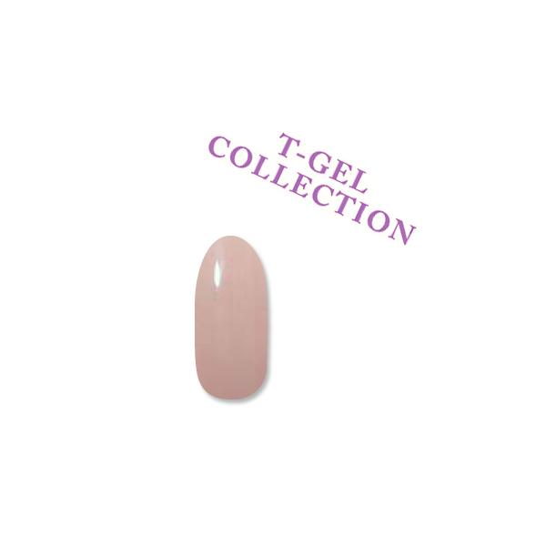 ジェルネイル セルフ カラージェル T-GEL COLLECTION D027