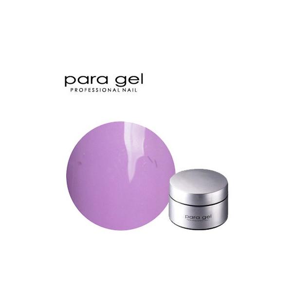 para gel ジェルネイル カラージェル パラジェル アートカラー