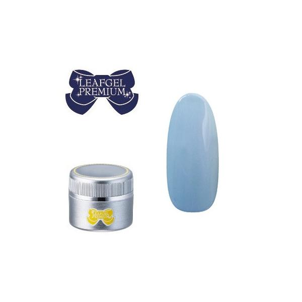 ジェルネイル セルフ カラージェル リーフジェル プレミアム 065