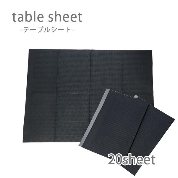 防水タイプのテーブルシート。衛生的な使い捨てタイプなので机を清潔に保てます。サイズ：340mm×450mm※製造工程上、色ムラや畳みシワ、多少の汚れがあるものが含まれている場合がございます。あらかじめご了承の上、お買い求めくださるようお願い...