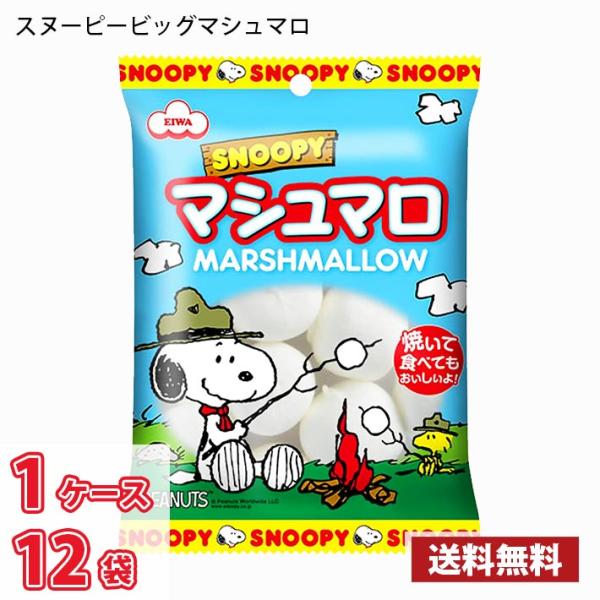 ※北海道は別途700円かかります。沖縄配送不可。内容量：65g×12袋