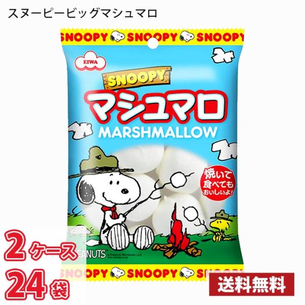※北海道は別途700円かかります。沖縄配送不可。内容量：65g×24袋