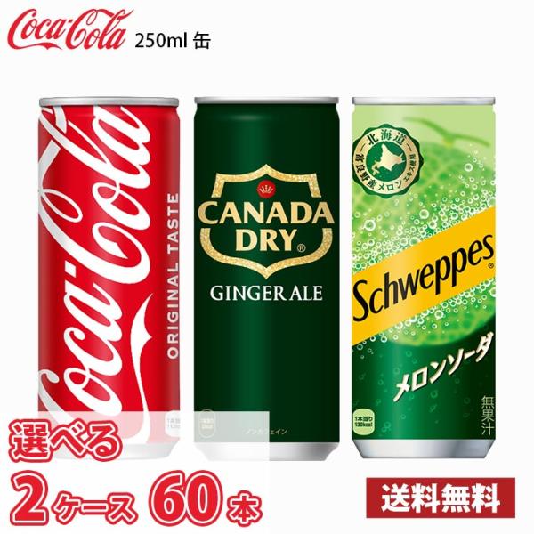 【選べる2ケース】 コカ・コーラ ジンジャーエール シュウェップスメロンソーダ 250ml 缶 60本 （2ケース） 送料無料!!(北海道別途700円、沖縄県配送不可)