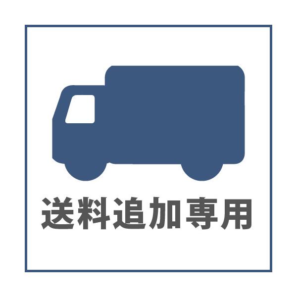 【送料追加専用】送料990円