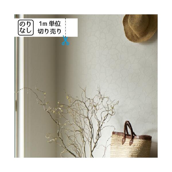 ǎ NX ̂Ȃ gL pCu TWP2206