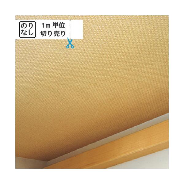 ǎ NX ̂Ȃ gL pCu TWP2294