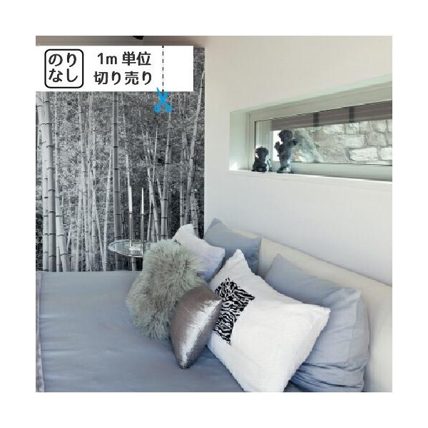 ǎ NX ̂Ȃ gL pCu TWP2366