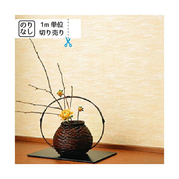 ǎ NX ̂Ȃ gL pCu TWP2261