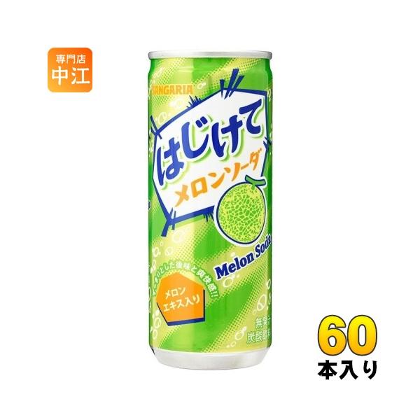 nakae-web_4902179022691-2c