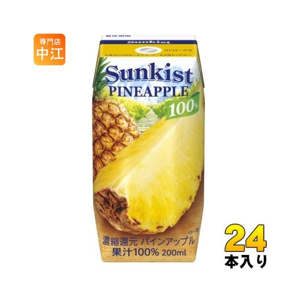 パイナップル nakae-web_4902720159647