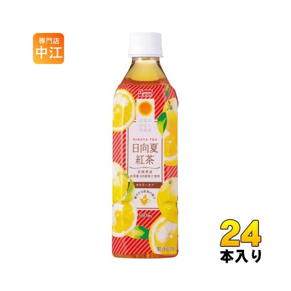 サンA 日向夏紅茶 500ml ペットボトル 24本入 紅茶飲料
