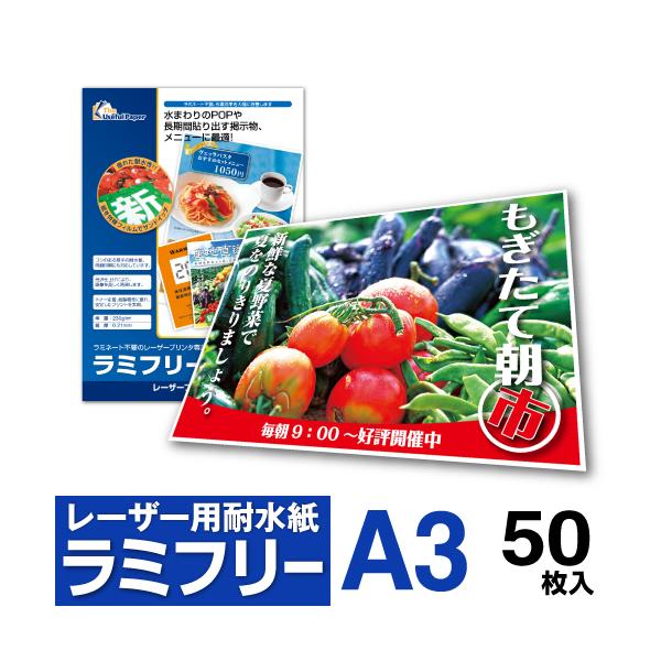 ϐ ~t[ A3 50