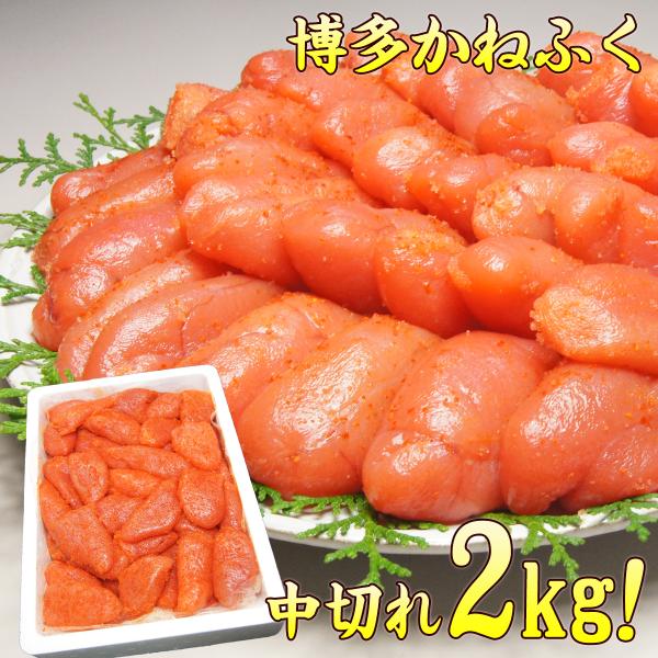 q ˂ӂ ؂ 󂠂 hqq 2kg  kanefuku-aka MtgLO  Mtg v[g ̓ Mtg i摜