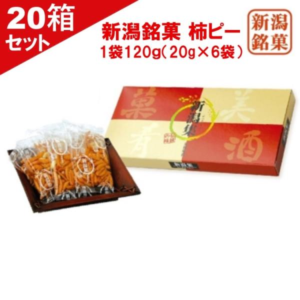 nakajapanpro_t25-kakip-6-20