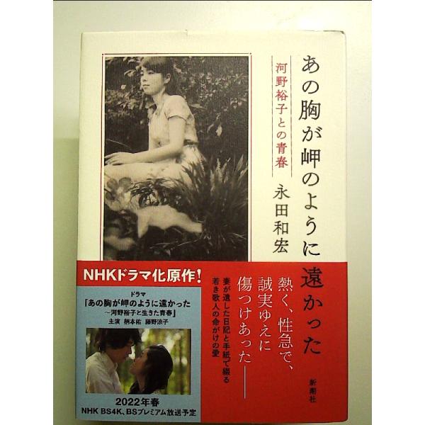 あの胸が岬のように遠かった　単行本