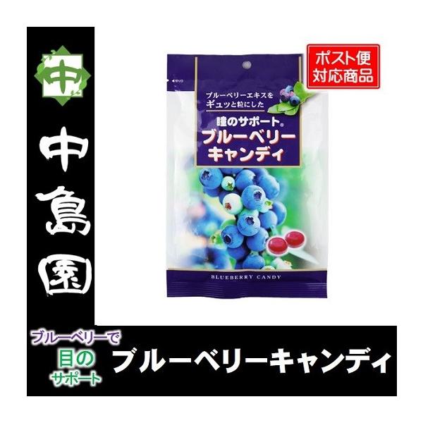 【原材料】砂糖、水飴、ブルーベリー果汁、酸味料、香料【内容量】90g（個包装込）【賞味期限】製造日より12ヶ月【保存方法】高温・多湿・直射日光を避けてご注意ください。【配送方法】ポスト便 ※日時指定不可ヤマト運輸【JANコード】498137...