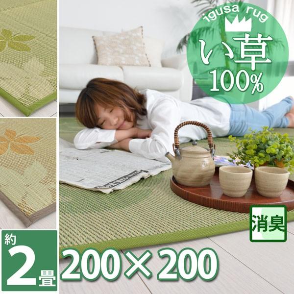 専用出品　2点まとめ売りラグマット観葉植物インテリア 楽天市場】ラグ カーペット ラグマット 絨毯 ウィルトン キリム