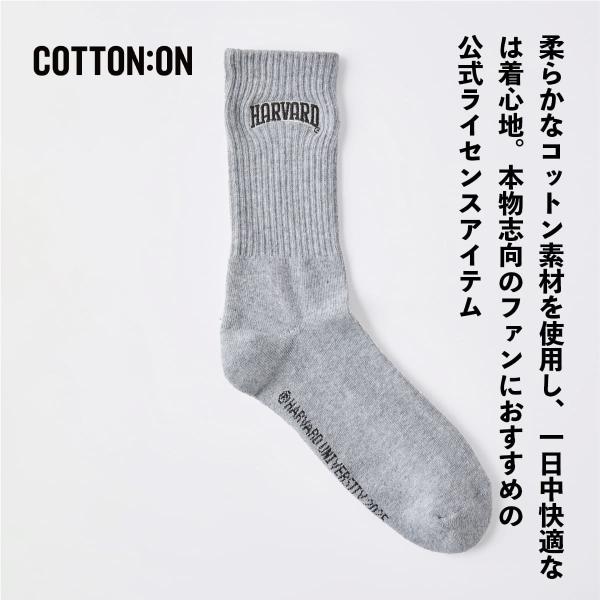 HARVARD ハーバード大学 カレッジ ソックス University SOCKS 靴下 25〜28cm グレー COTTON ON 海外ブランド ライセンス コットン スケーター　