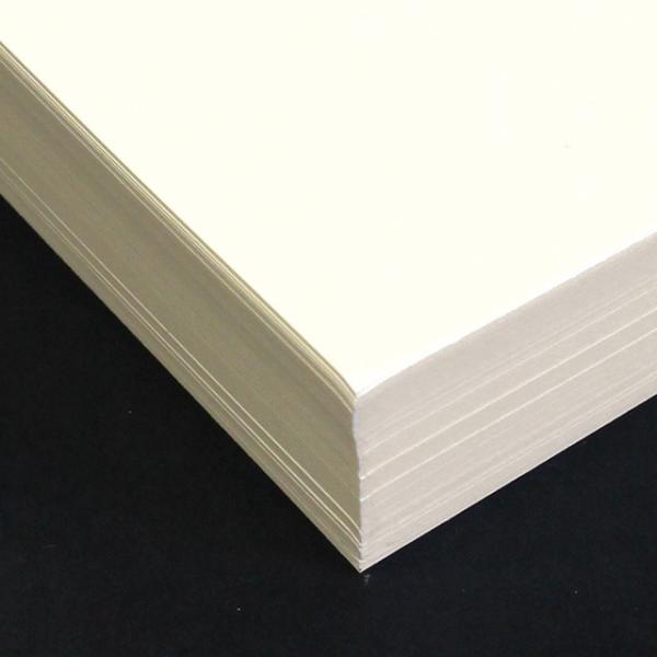 ~VJbgł܂ h 8ʕt [110] vXyȂ@̔̔łzy8ʕtz