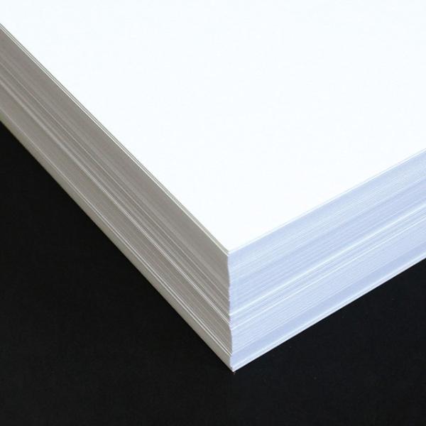 ~VJbgł܂ h 8ʕt [110] G[gyȂ@̔̔łzy8ʕtz