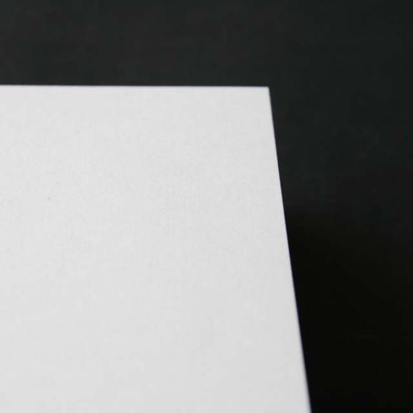 ~VJbgł܂ hp p 10ʕt [220] 408CoCyȂ@̔̔łzy10ʕtiA4TCYj GVJi 220z