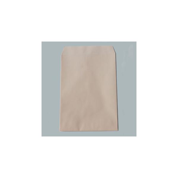 p2 - ECsN   - ̂t: Xbg (: 100)(X֔ԍ̘gFȂ)(X~\) 500 