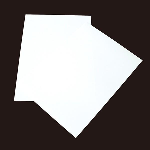 ~VJbgł܂ hp p 10ʕt [100] JET A4 zCg yȂ@̔̔łzy10ʕtiA4TCYj CNWFbgΉz