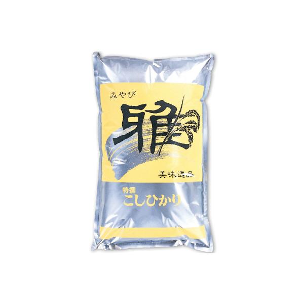 米袋5kg用 産地なし 雅 特選こしひかり シルバー アルミパック サイドスルー K555-2 100枚セット